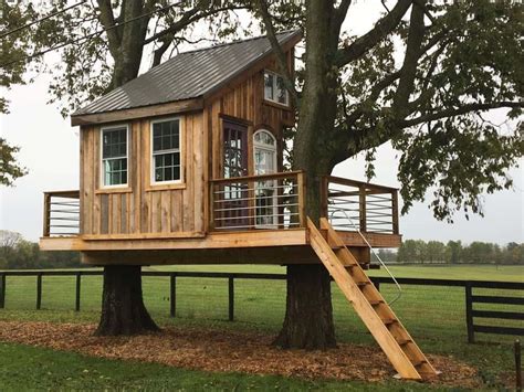 metal frame for tree house|tree house plans.